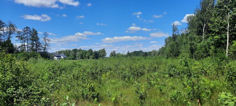Działki pod działalność gospodarczą Halickie - Widok 2