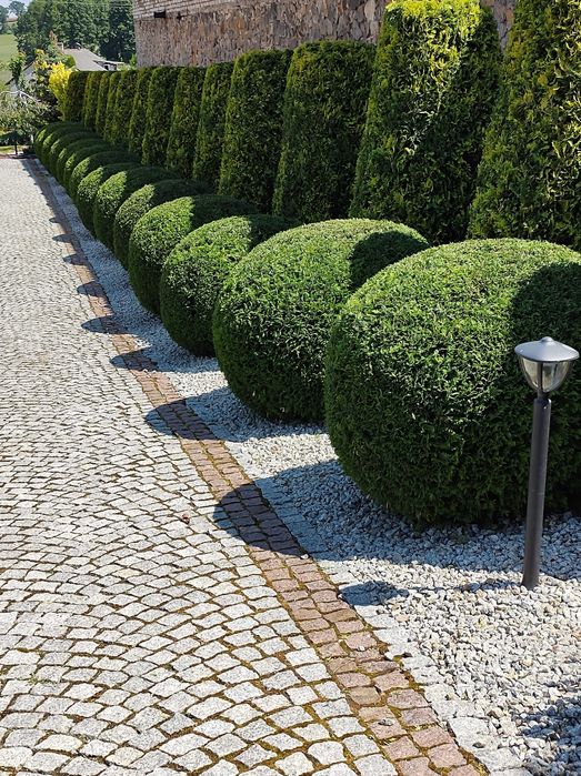 Usługi Ogrodnicze., Zakładanie Ogrodów