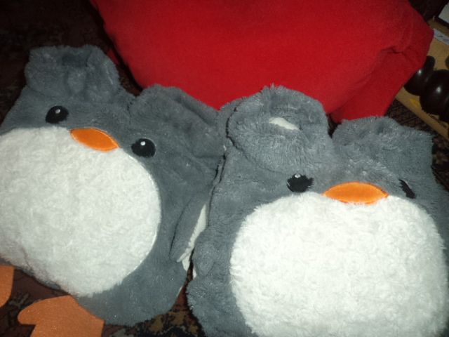 Almofadas de aquecimento pes e maos