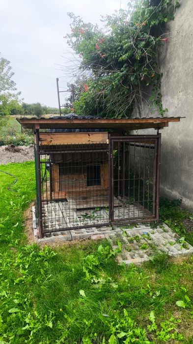 Kojec dla psa + buda