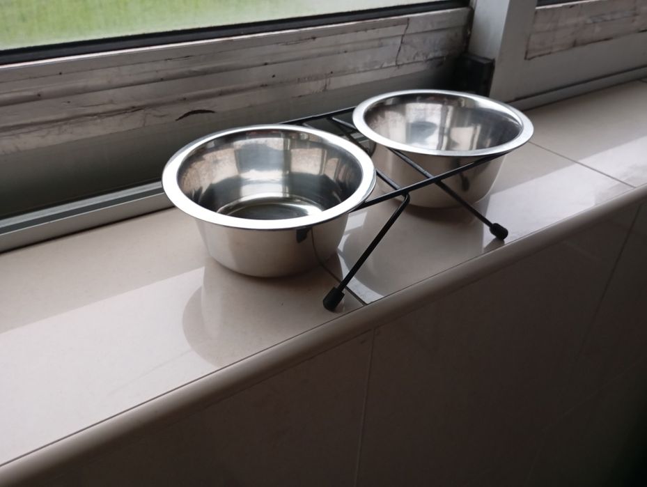 Taças inox comida gato