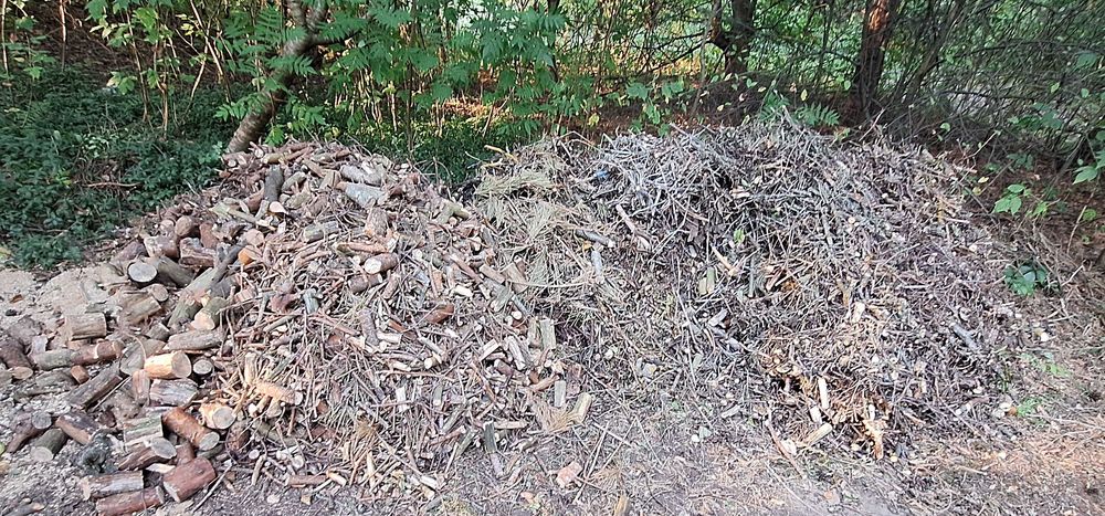 Zrębki drewno z rębaka