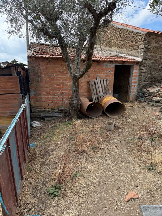 Terreno em maxiais