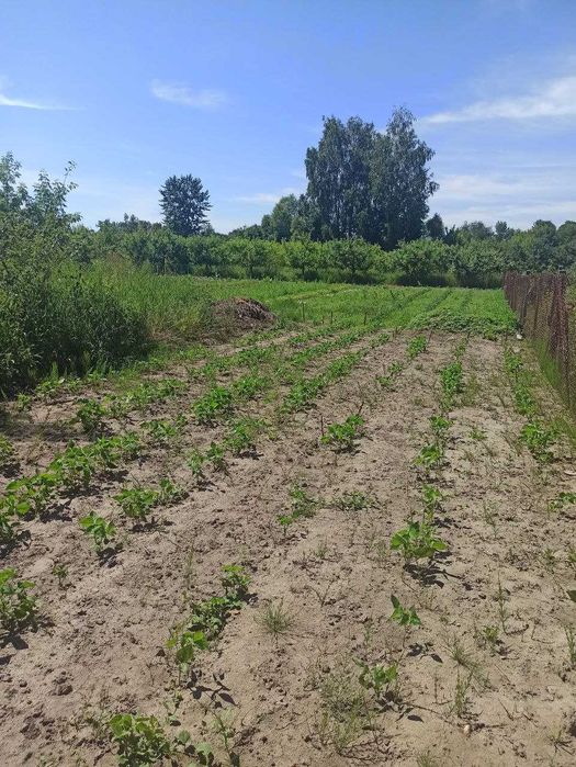 Продається земельна ділянка в селищі Літин 5827