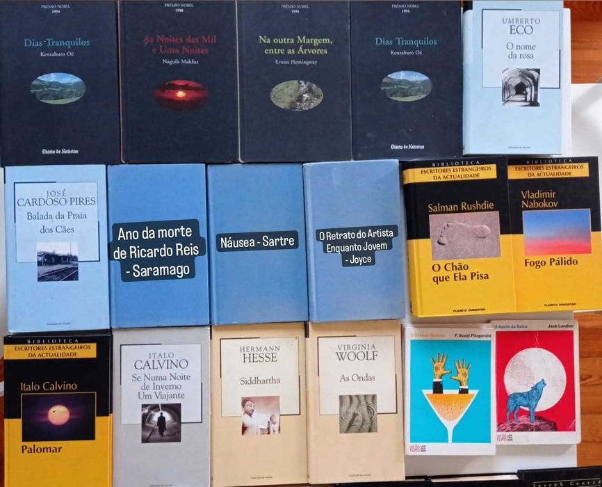 Saramago, Joyce, Sartre, Steinbeck, Calvino, Borges, etc