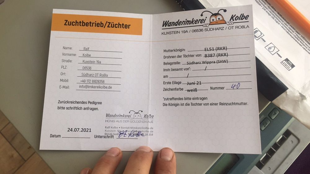 Матки    БАКФАСТ