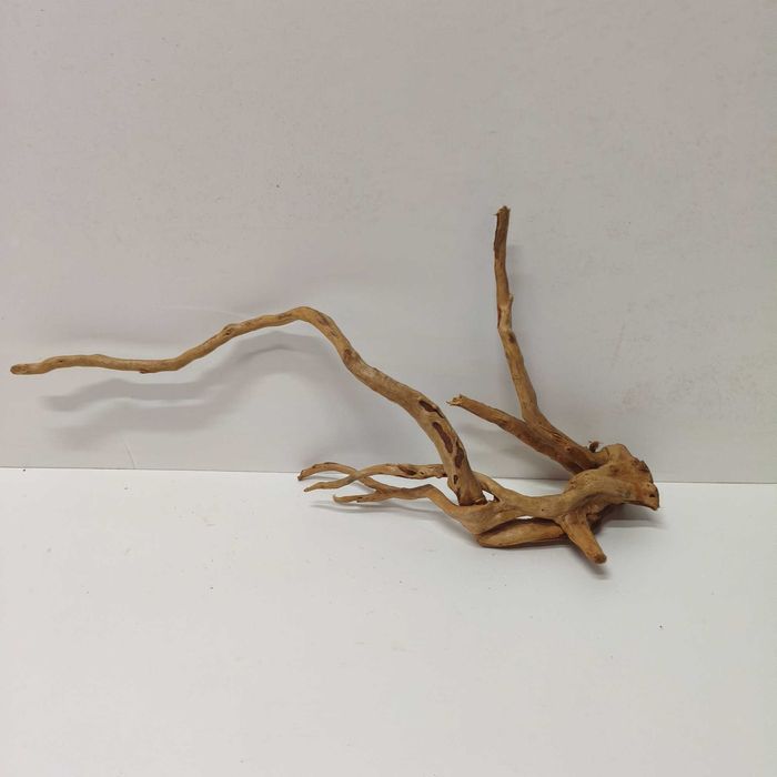 Korzeń japoński aquascaping Amano Red Moor root