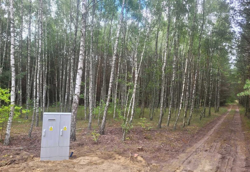 Działki budowlane w leśnej scenerii - Widok 3