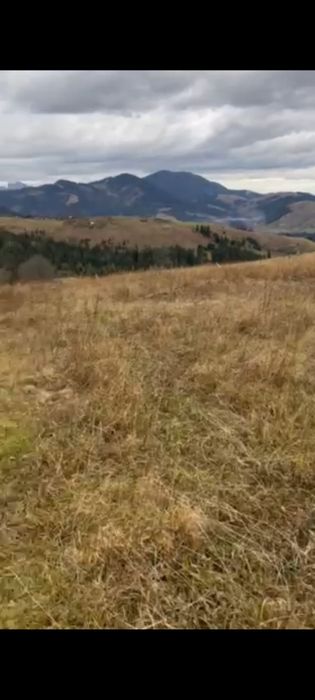 Земельна ділянка з видом на чорногірський  хребет