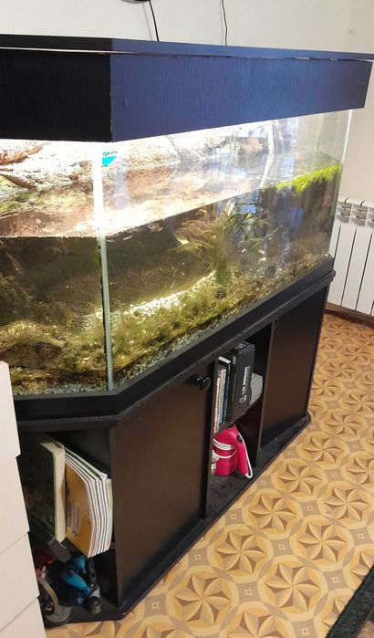 Аквариум с тумбой СРОЧНО