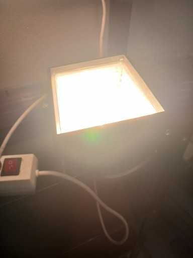 Halogen Projector 500 W64376323927683124