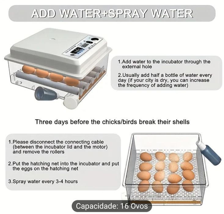 Incubadora Automática para 12-16 Ovos