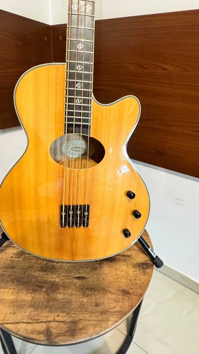 Washburn AB-40 Custom Stuart Hamm sygnatura