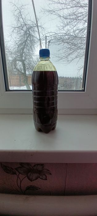 Гарбузова олія власного виробництва