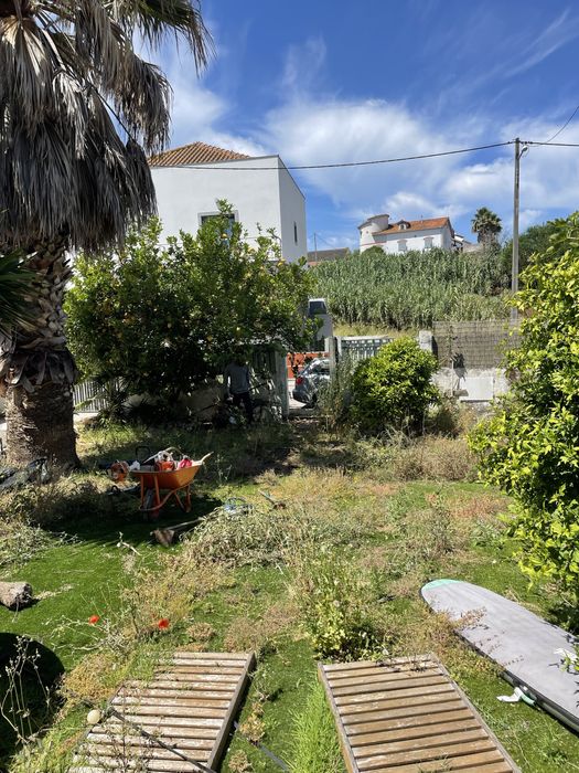 Limpieza de terrenos