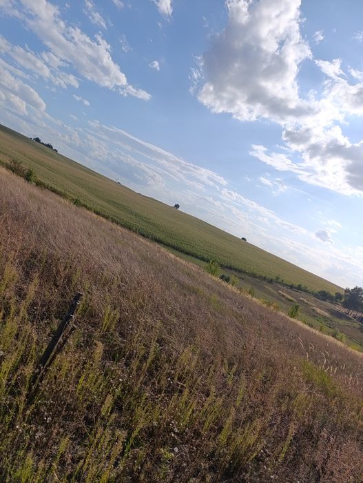 Продам земельну ділянку