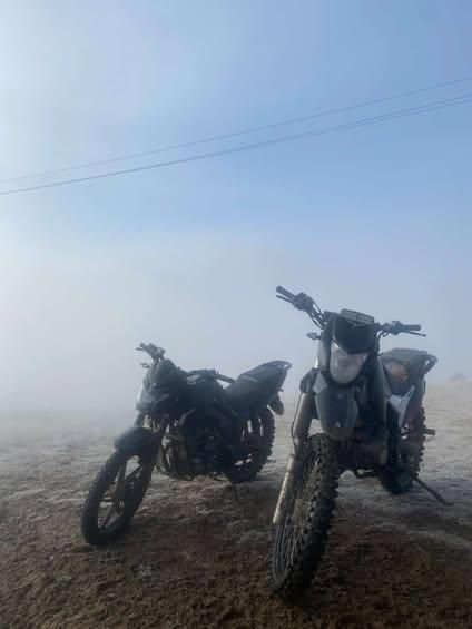 Продам мустанг фортуна 200