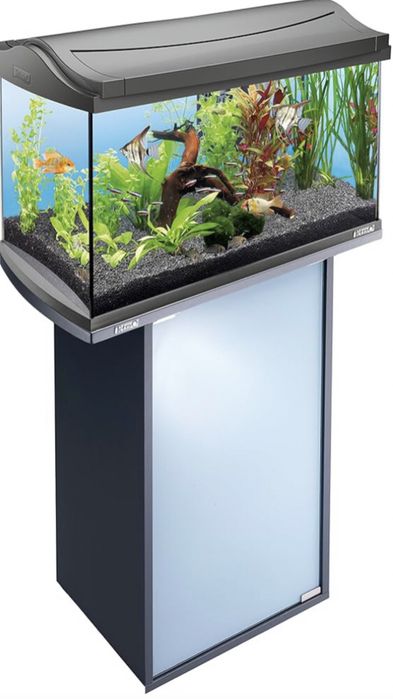 Akwarium 60 l