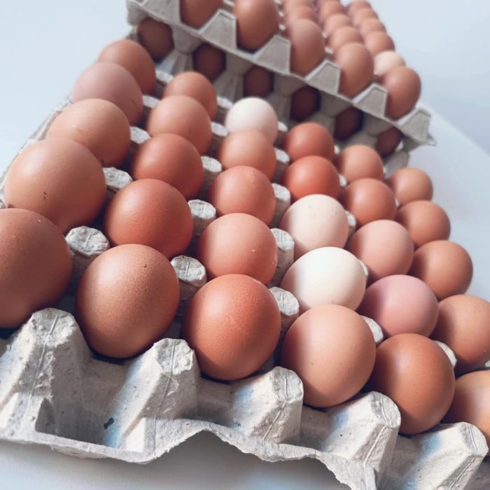 Jajka swojskie masło z mleczarni