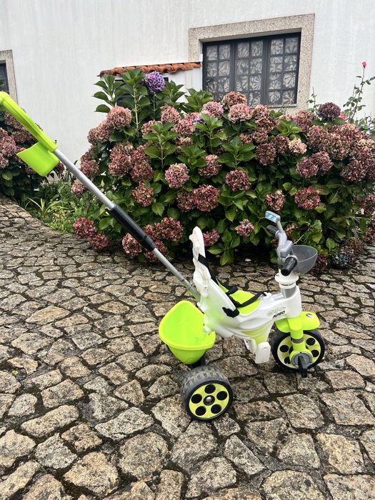 Triciclo evolutivo