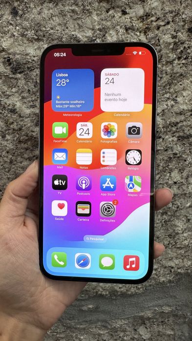 iPhone 12 Pro Max 256Gb Usado