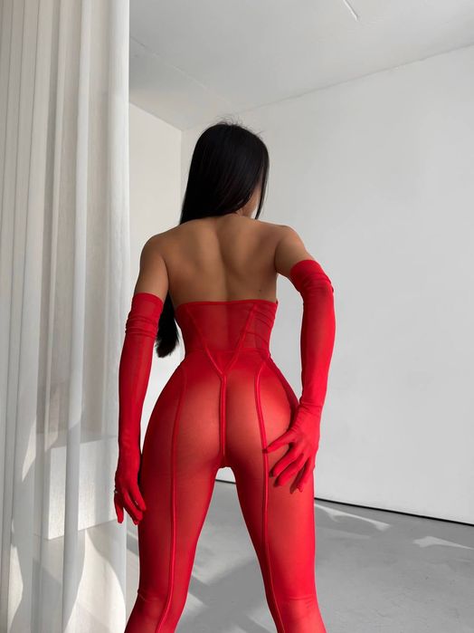 Бодістокінг,еротична білизна,фотосесія,білизна сітка,сексуальний образ