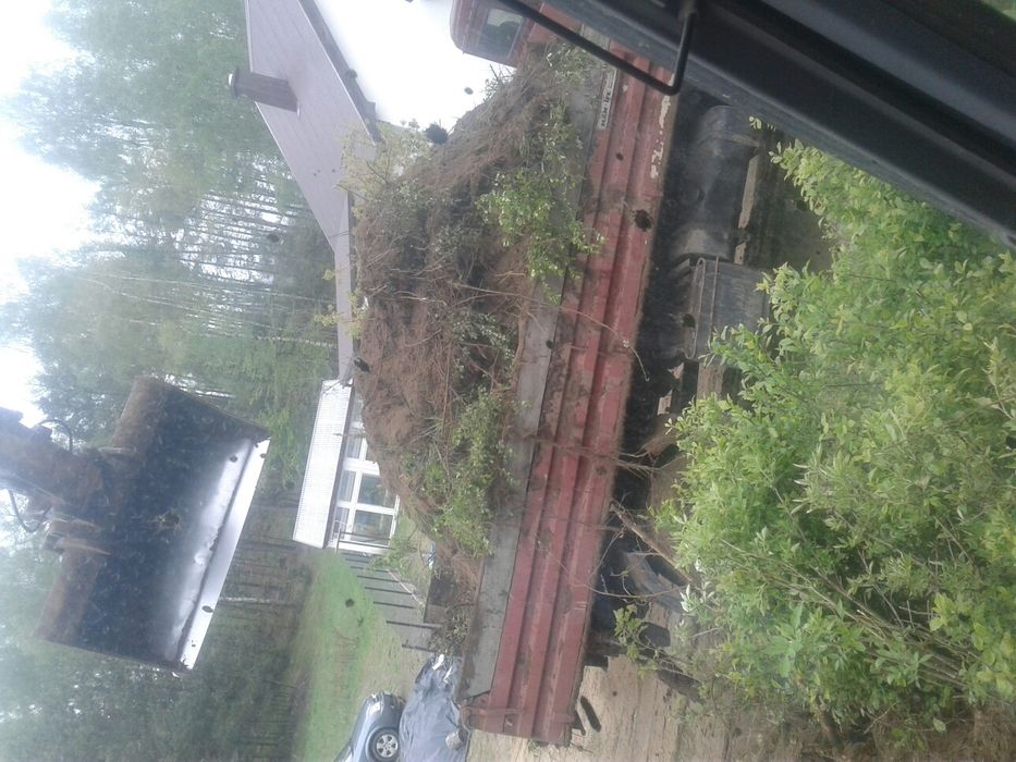 Wynajem koparki błotniaka ziemi łeba Lębork wicko