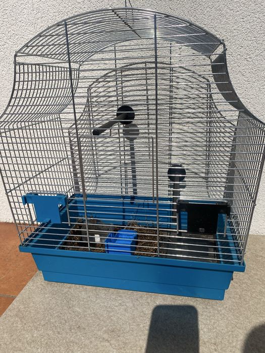 Klatka dla ptaszka papugi niebieska