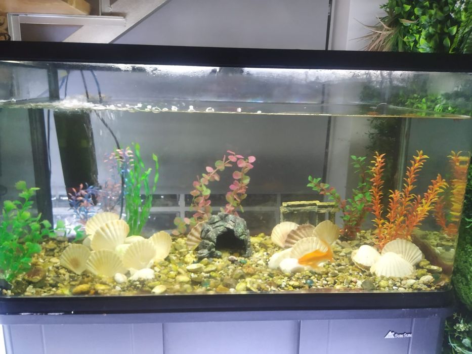 Aquário retangular com armario