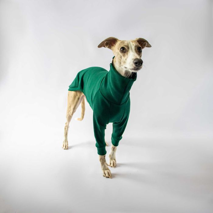 Sweterek golfik na pieska, charta, charcika, whippeta