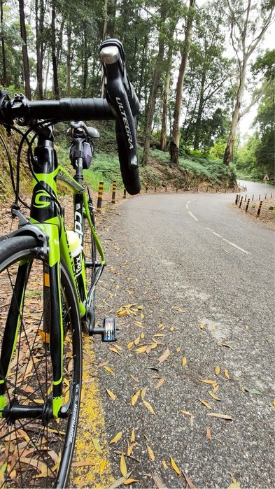 Cannondale Synapse Hi-mod Carbono - Ultegra