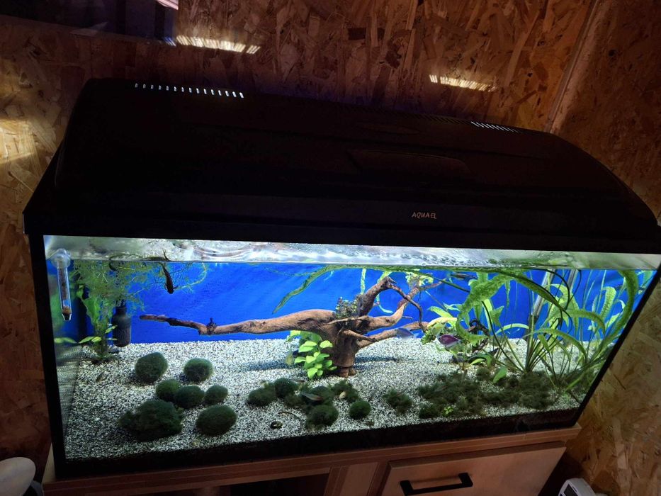 Akwarium 180 l , pokrywa z ledem, filtr, szafka