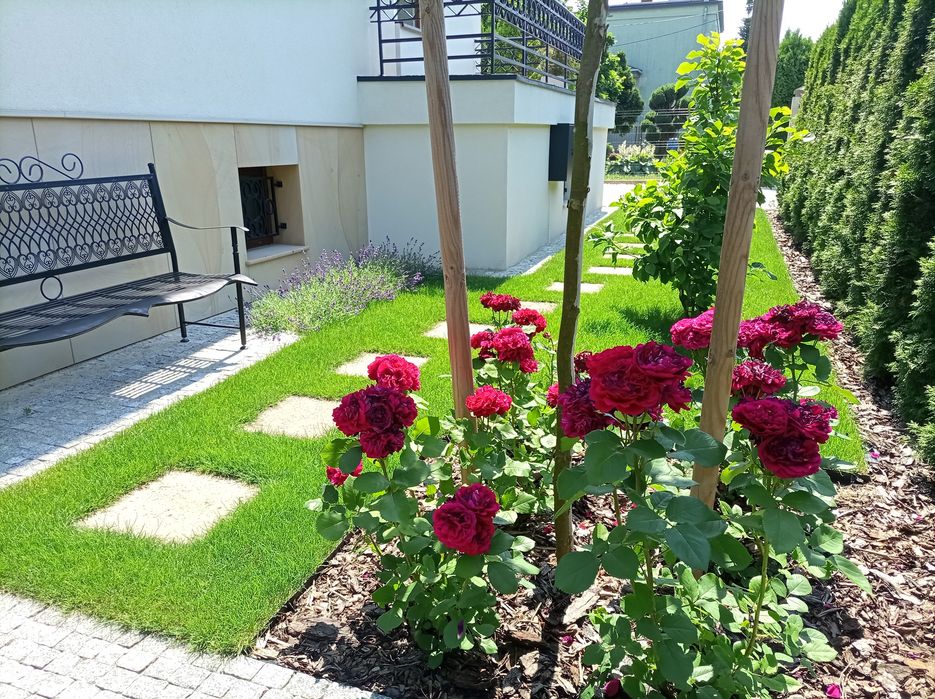 Zakładanie i pielęgnacja ogrodów