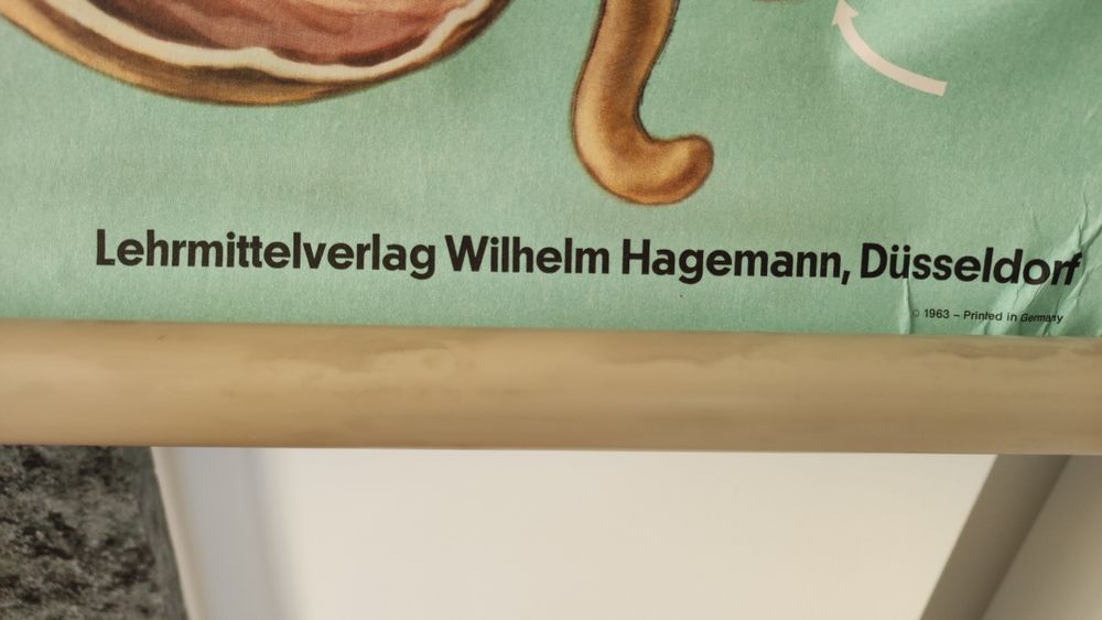 Mapa escolar antigo - Sistema digestivo, gástrico, órgãos corpo humano