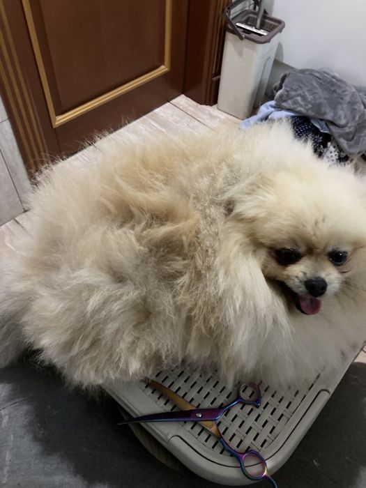 Супер хлопчик! 3роки