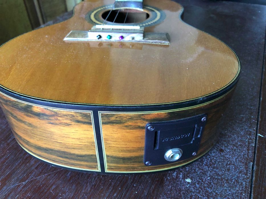 Cavaco Rozini Eletroacústico