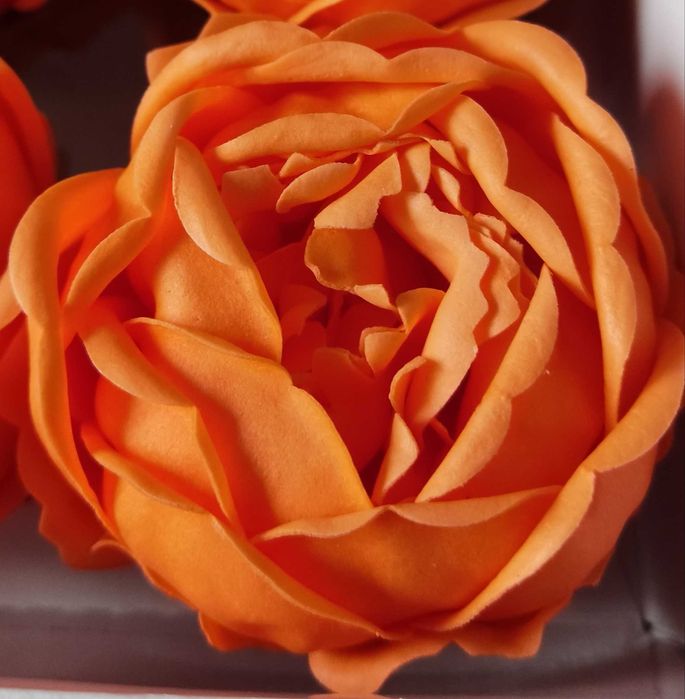 Mydlany kwiat peonia