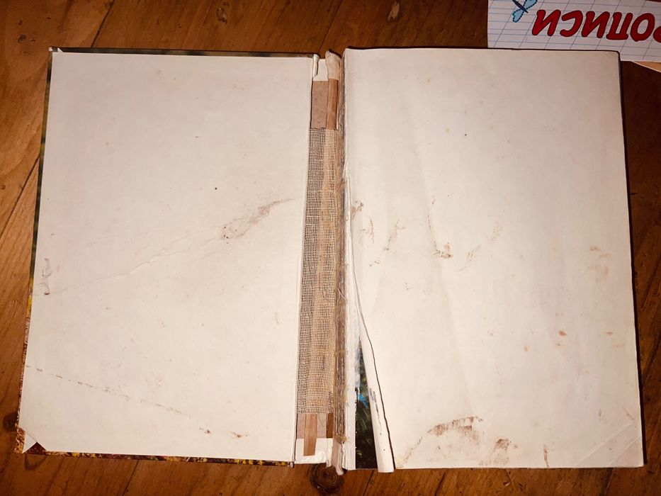 Уильям Х. Амос Живой мир островов