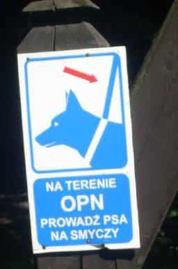Domek k/Ojców, Park, ustronne, piękne miejsce, absolutna cisza