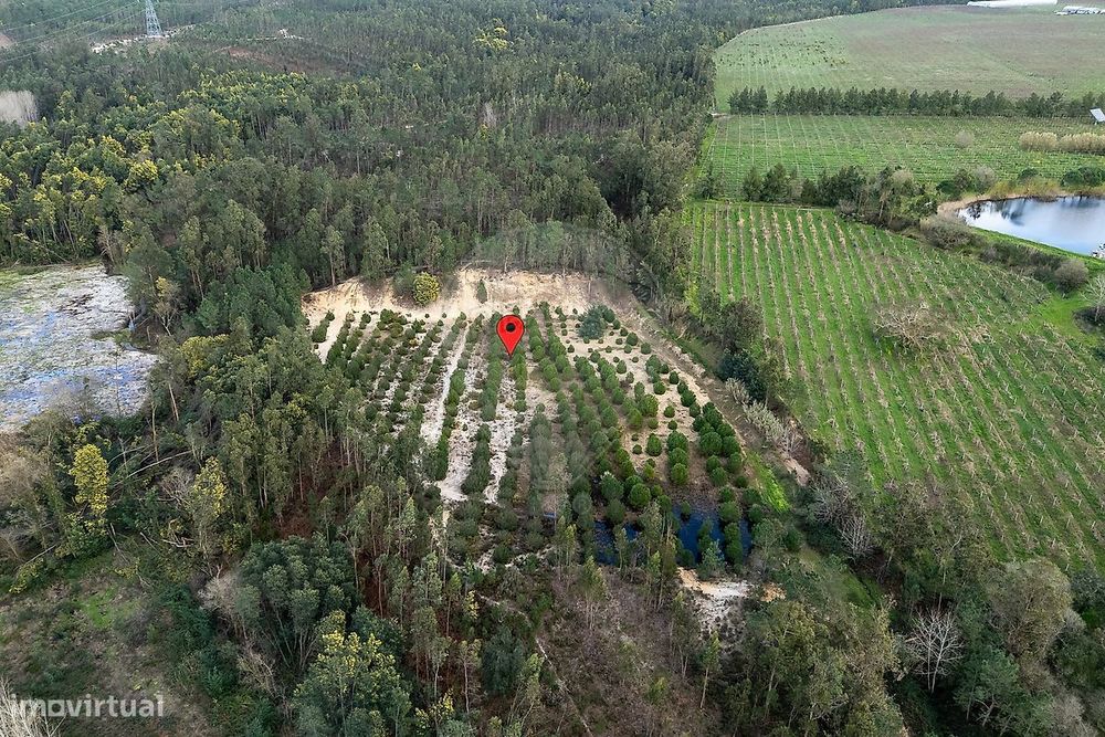 Terreno  para venda