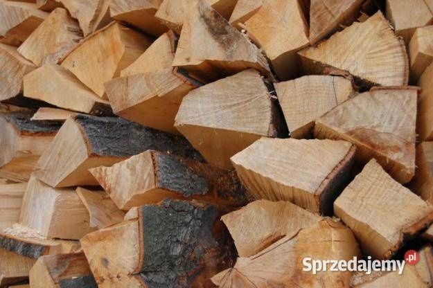 Drewno kominkowe buk opałowe