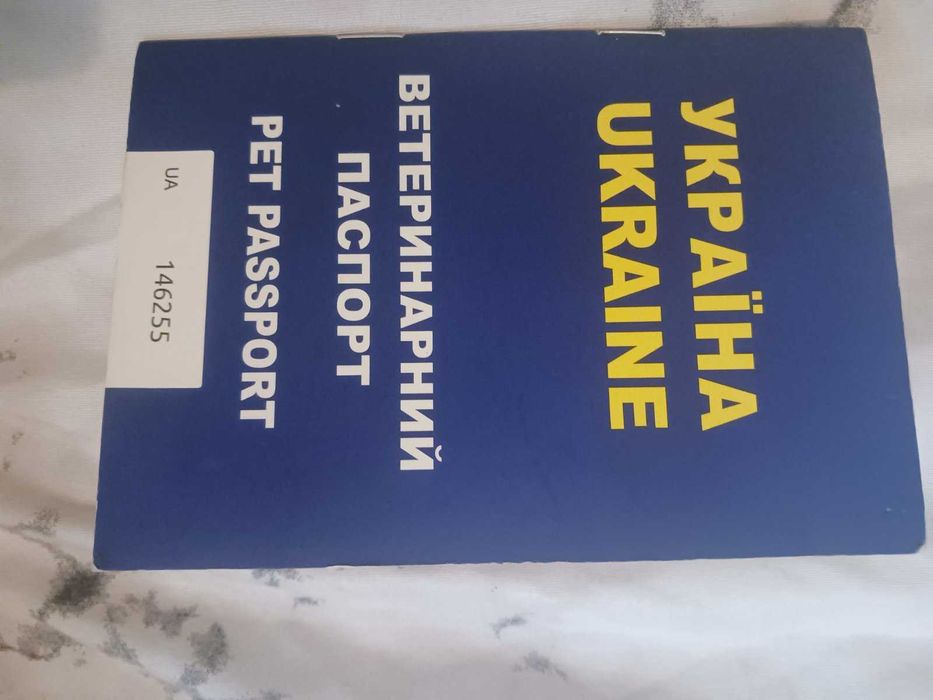 Французький бульдог