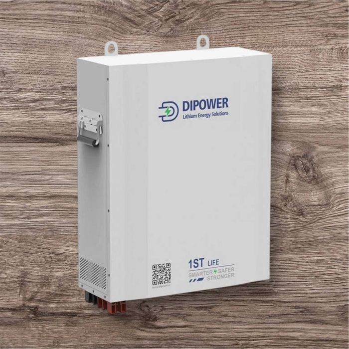 Акумулятор Dipower Wall Mounted 48V/120AH, 5760W*h BYD NMC, 13S1P, літ