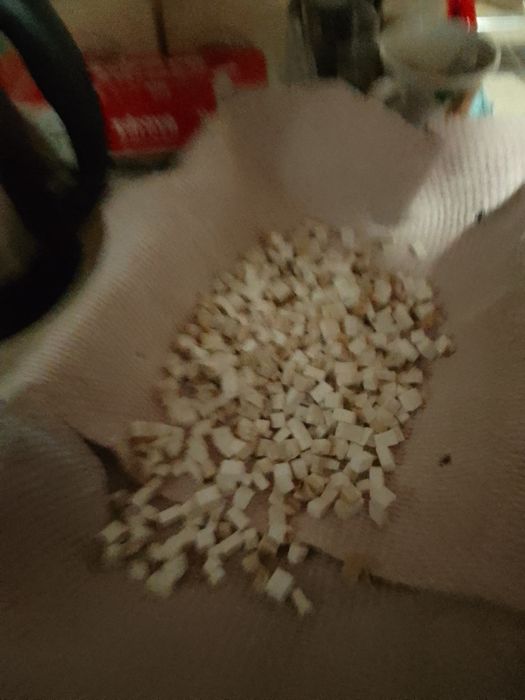Sprzedam bialoporek brzozowy.