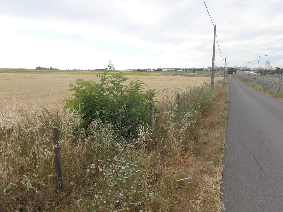 Terreno Junto à estrada, a 600 metros de Beja