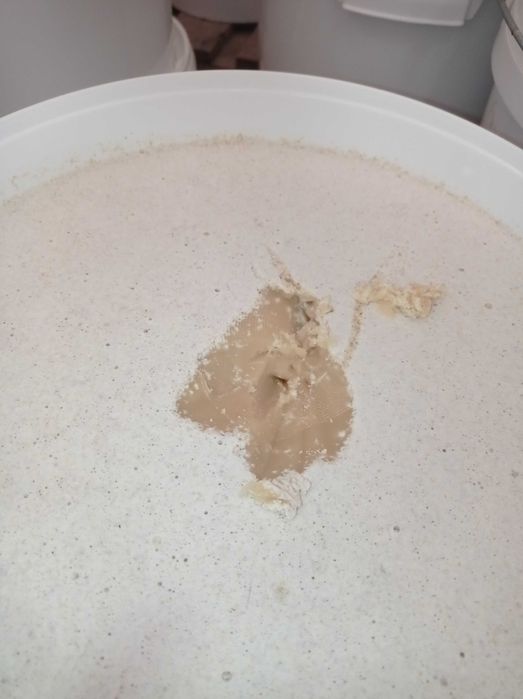 Miód Wielokwiatowy Jasny