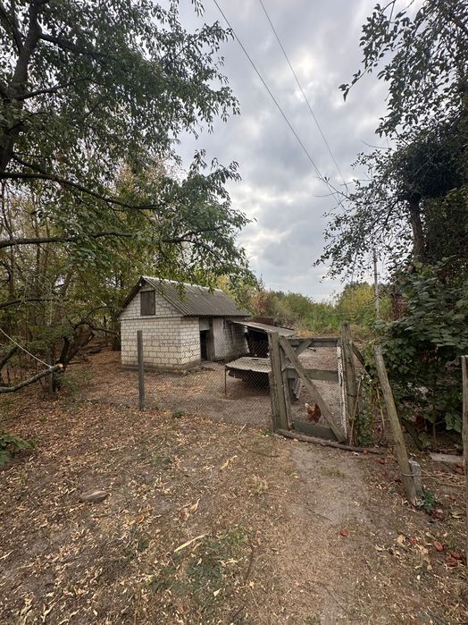 Продаж будинку з великою територією поряд з лісом с. Чорнявка