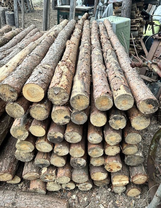 Stemple budowlane 2,5 , 3 , 3,5 i 4m kantówki kołki żerdzie