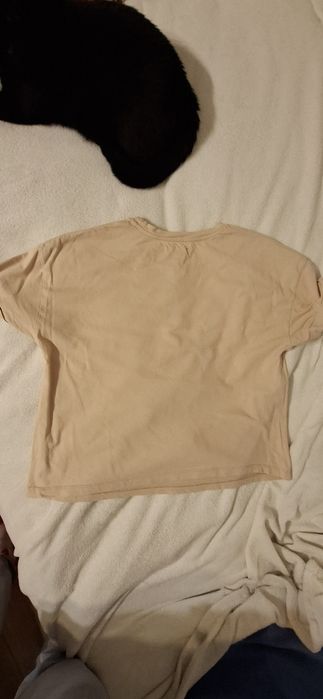 T-shirt beżowy CORGI rozm.M