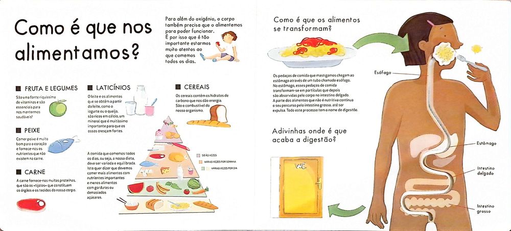 Livro - O Corpo Humano - Como novo 2017